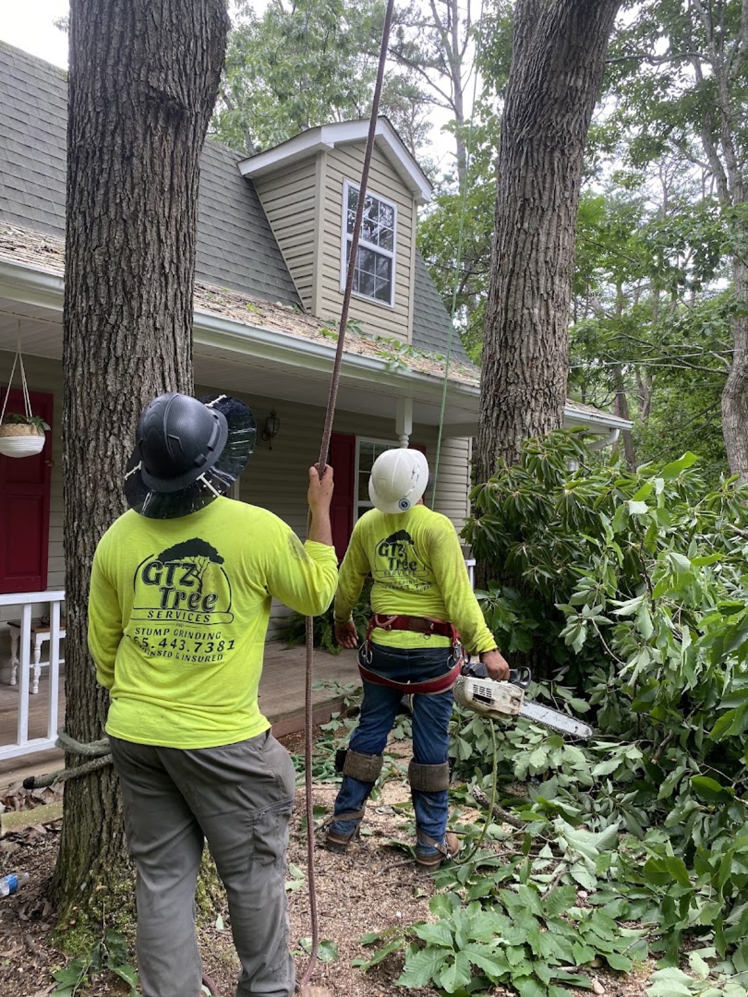 The GTZ Tree Service crew taking down a large tree in Knoxville