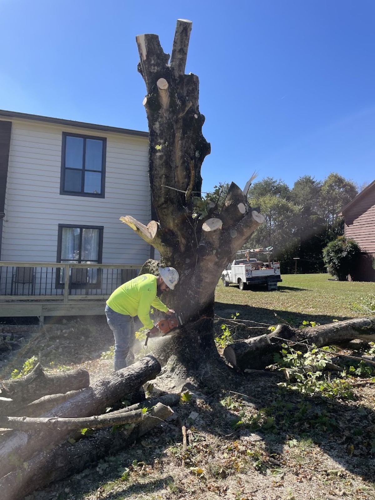 A large tree being removed beside a Knoxville home