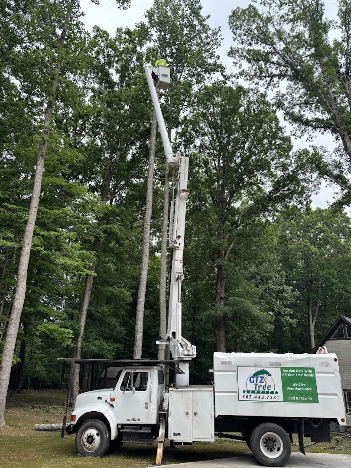 A GTZ bucket lift reaching high limbs on a Knoxville property