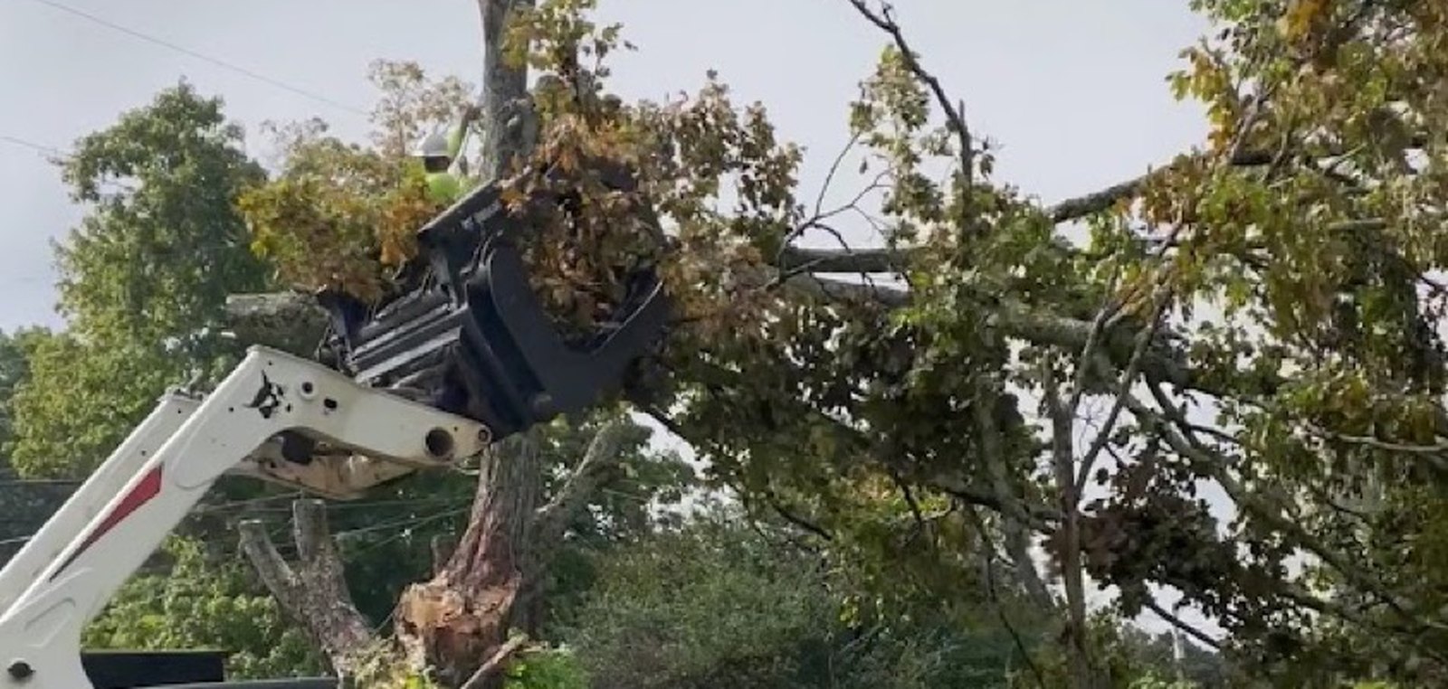 A GTZ skid steer lifting cut limbs clear of a Knoxville property