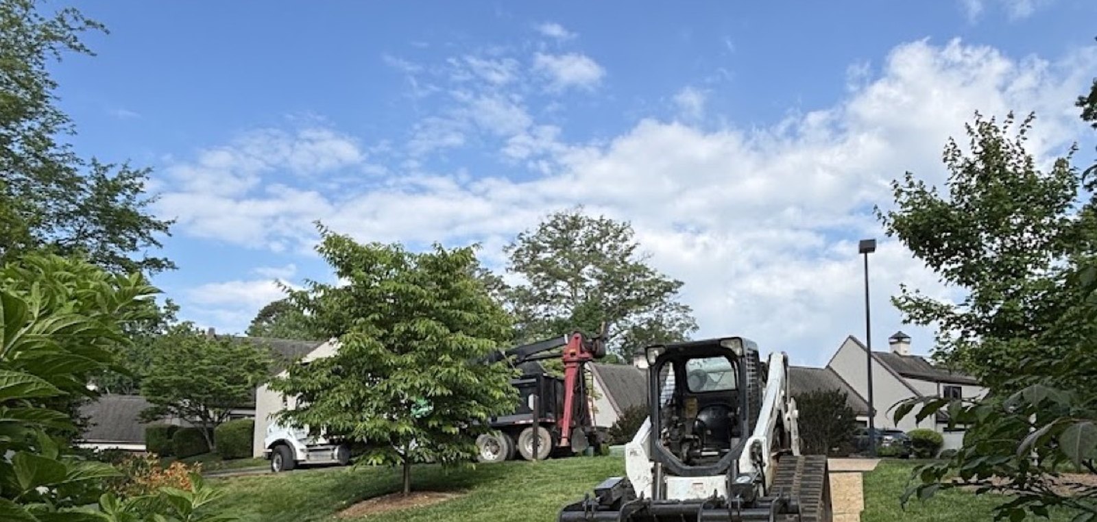 A GTZ Tree Service skid steer on ground protection mats across a Knoxville lawn
