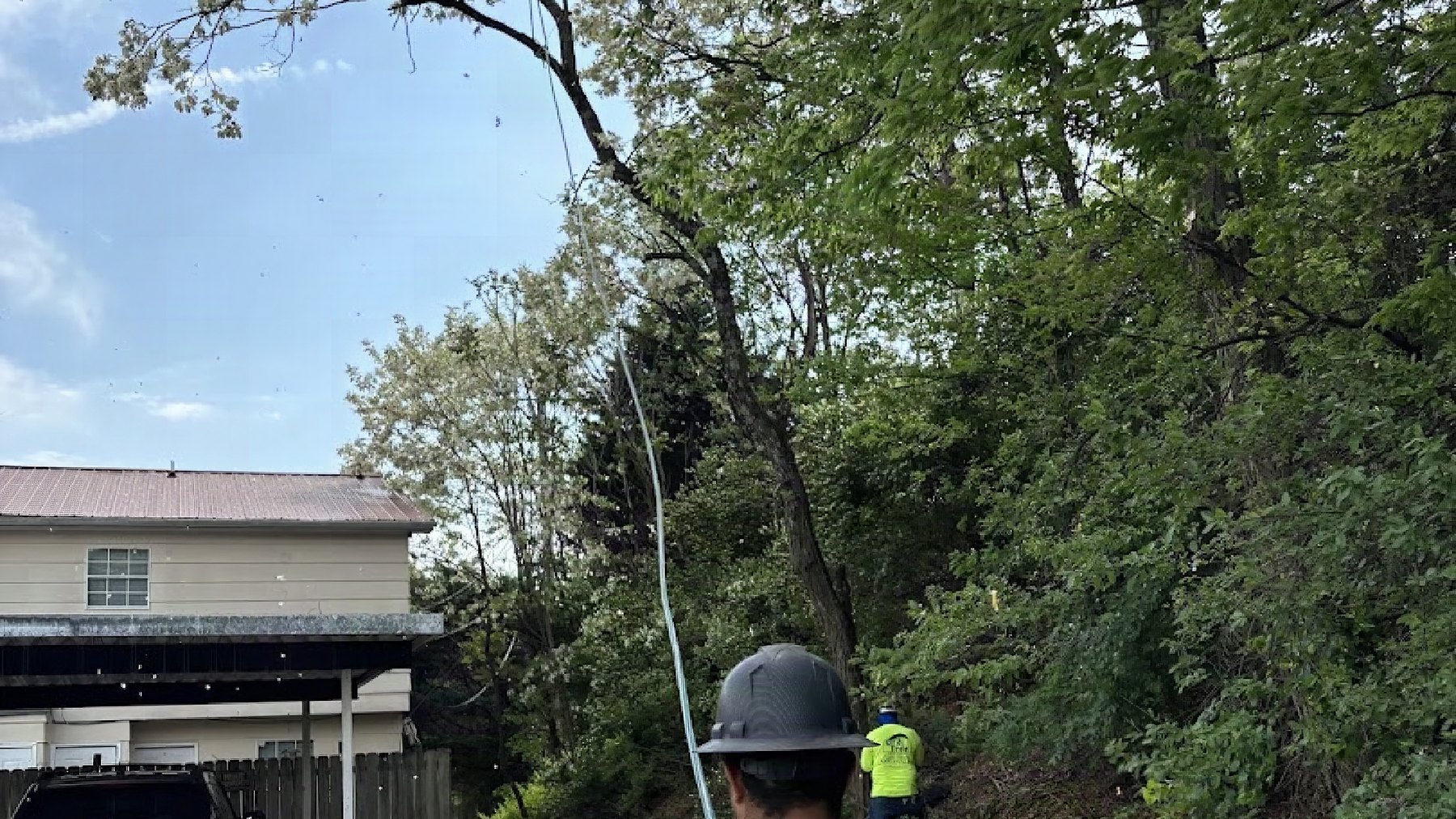The GTZ Tree Service crew working beneath a tall Knoxville canopy