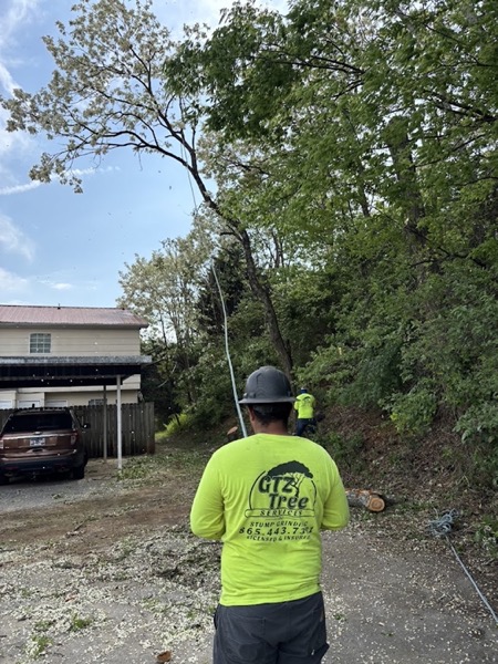 GTZ crew member in branded shirt working a removal