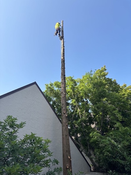 A GTZ climber roped high on a bare spar beside a Knoxville house