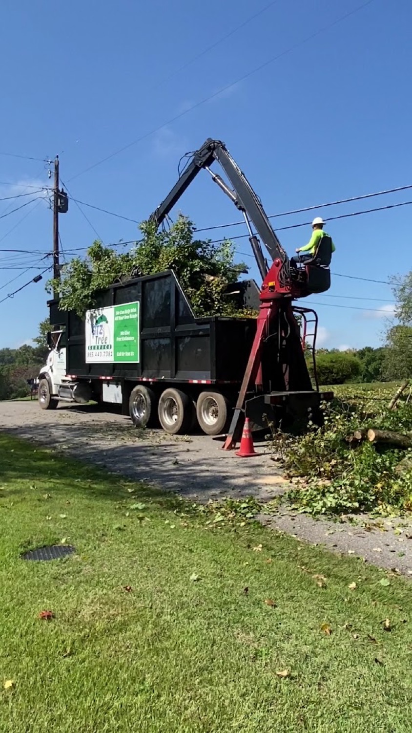 A GTZ Tree Service green grapple truck on a Knoxville job